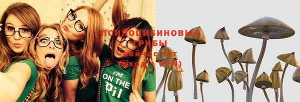 прущий лед Алзамай