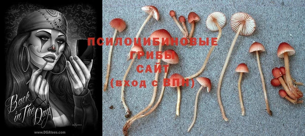 экстази Алексин