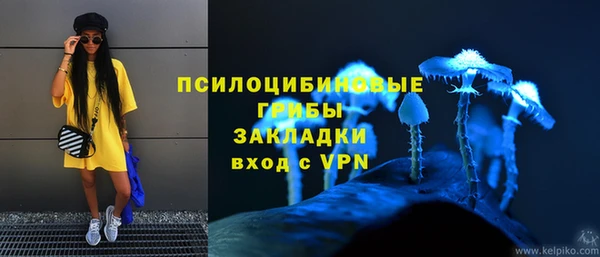 экстази Алексин