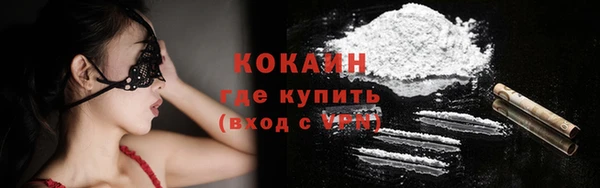 прущий лед Алзамай