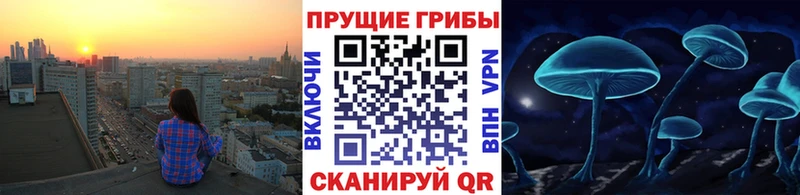Псилоцибиновые грибы Psilocybine cubensis  Узловая 